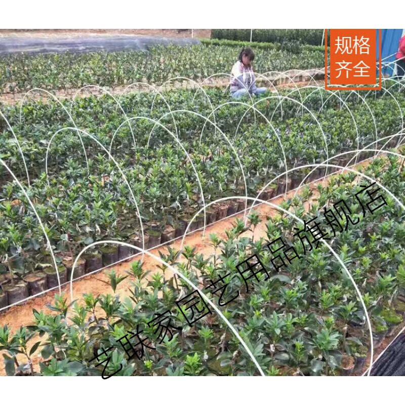 玻璃纤维棒拱竿小拱棚支架菜地拱杆多肉植物育苗棚实心骨架 5mm粗2.3米20根地宽约1.5米怎么看?