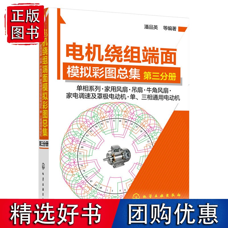 电机绕组端面模拟彩图总集.第三分册