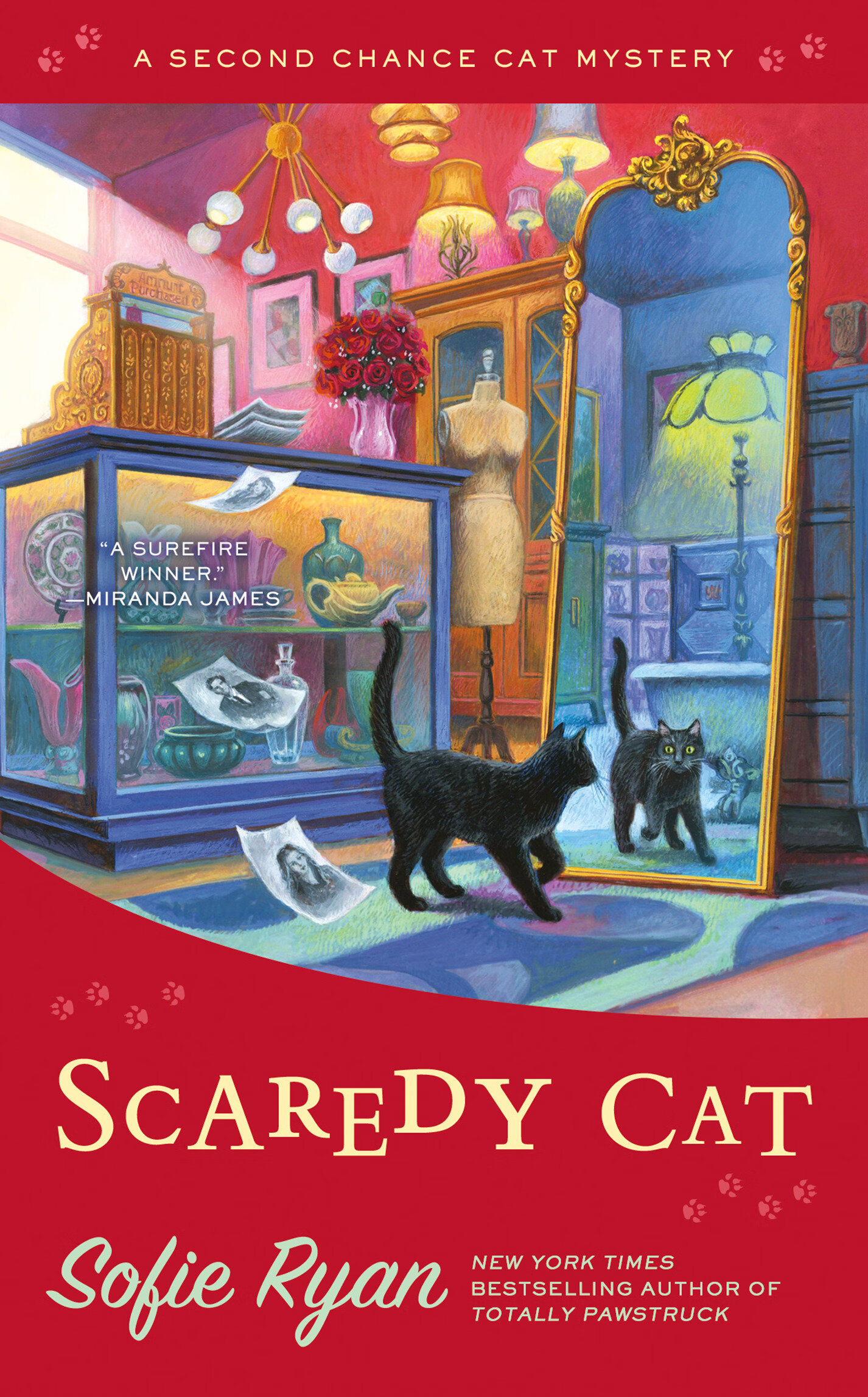 【预订】scaredy cat