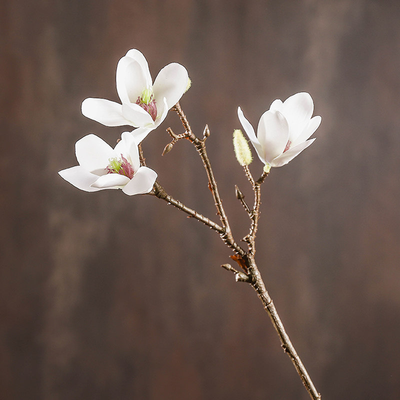 假花绢花客厅卧室茶几摆件木棉花花束木兰花绢花 阳春玉兰(小号)白色