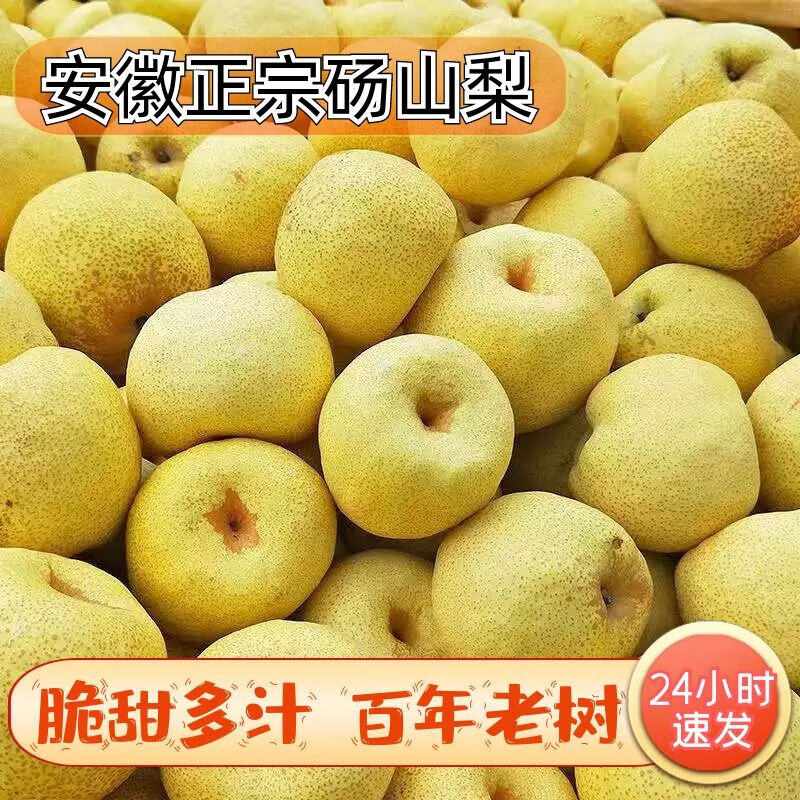 砀山梨酥梨新鲜水果梨子当季整箱孕妇安徽砀山梨脆梨蜜甜梨砀山梨酥梨