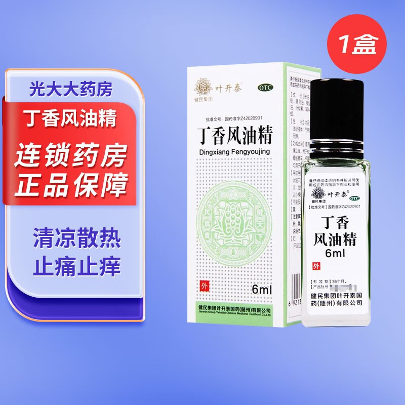 健民 叶开泰 丁香风油精 6ml/瓶 止痛止痒蚊虫蛰咬晕船晕车头痛 1盒装