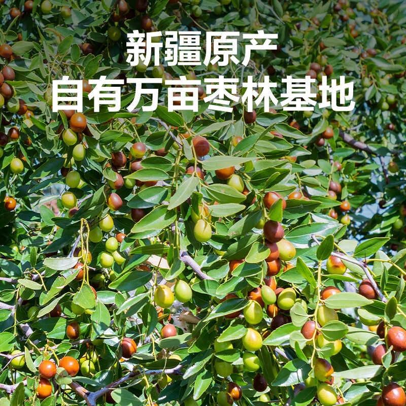 惠寻京东自有品牌 免洗即食灰枣500g/袋 新疆红枣 果干零食大枣