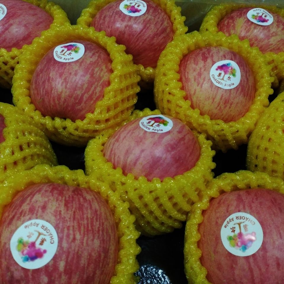 亲果力巢尔苹果金果新鲜脆甜冰糖心当季一级精品大果送礼优品 5斤