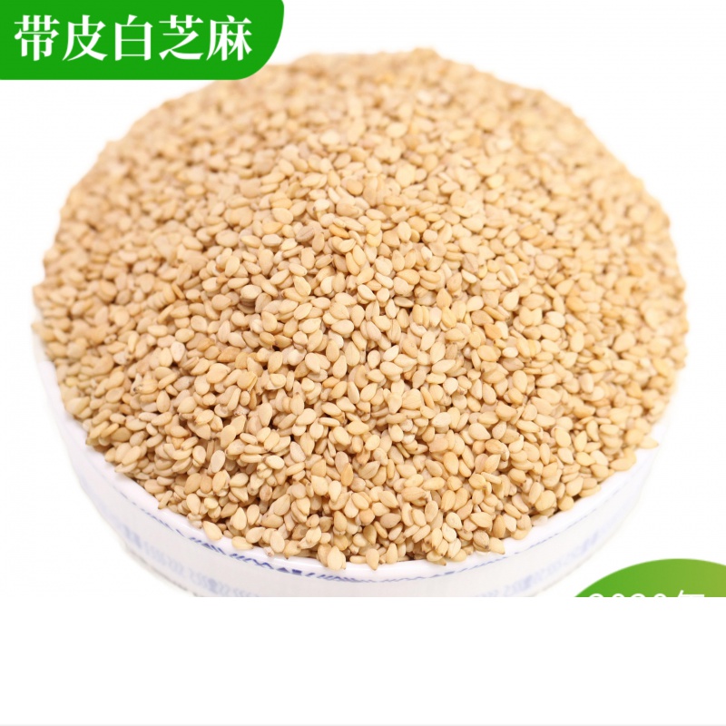 虎钢馋带皮白芝麻生500g一级农家自产小粒新货饱满非脱皮熟白芝麻仁