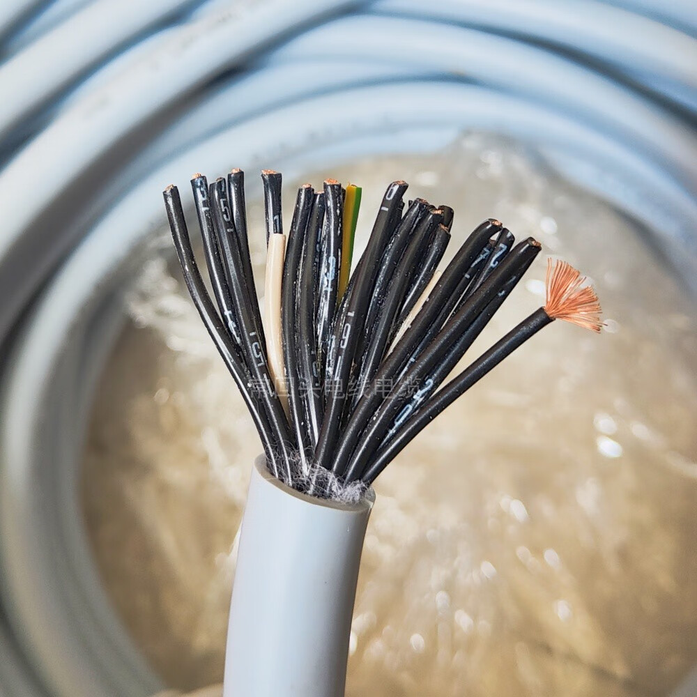 德国进口拖链电缆 25芯1平方 fd 810 25g1 进口电缆 高柔耐油耐磨