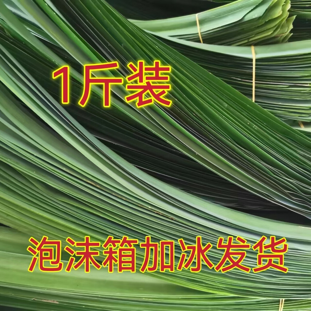 海南斑斓叶新鲜割叶发货食用斑斓叶班兰叶香兰叶千层糕南洋盒子