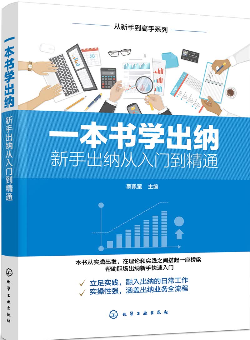 从新手到高手系列：一本书学出纳
