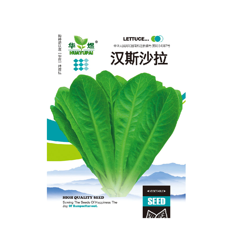 樱霞(买2件以上送肥料) 汉斯沙拉菜种子水培蔬菜种籽孔雀菜种子春季