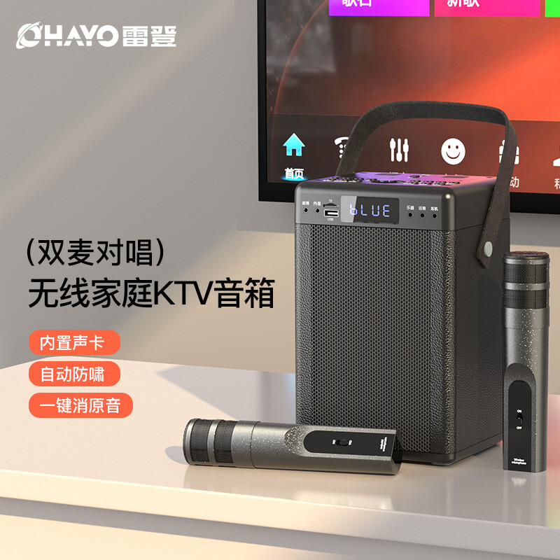 雷登（OHAYO）S16无线蓝牙音响家用ktv家庭影院电视K歌居家卡拉ok广场舞音箱唱歌跳舞音箱便携式会议室设备