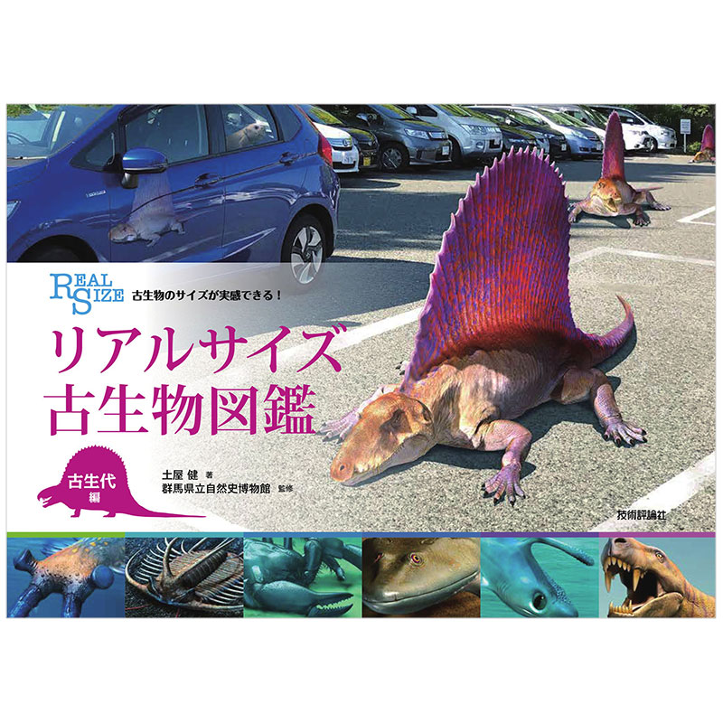 直观感受古生物的实际大小 古生代编 古生物図鉴 日文原版书籍进口