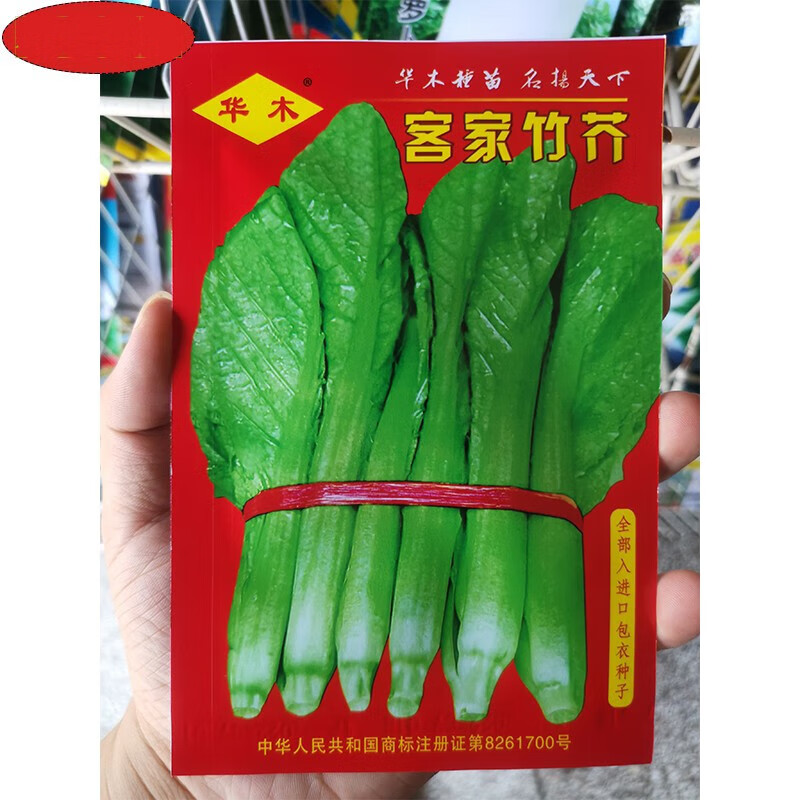 客家竹芥菜种子咸菜酸菜种早熟快大芥菜籽春秋季阳台农家蔬菜种孑