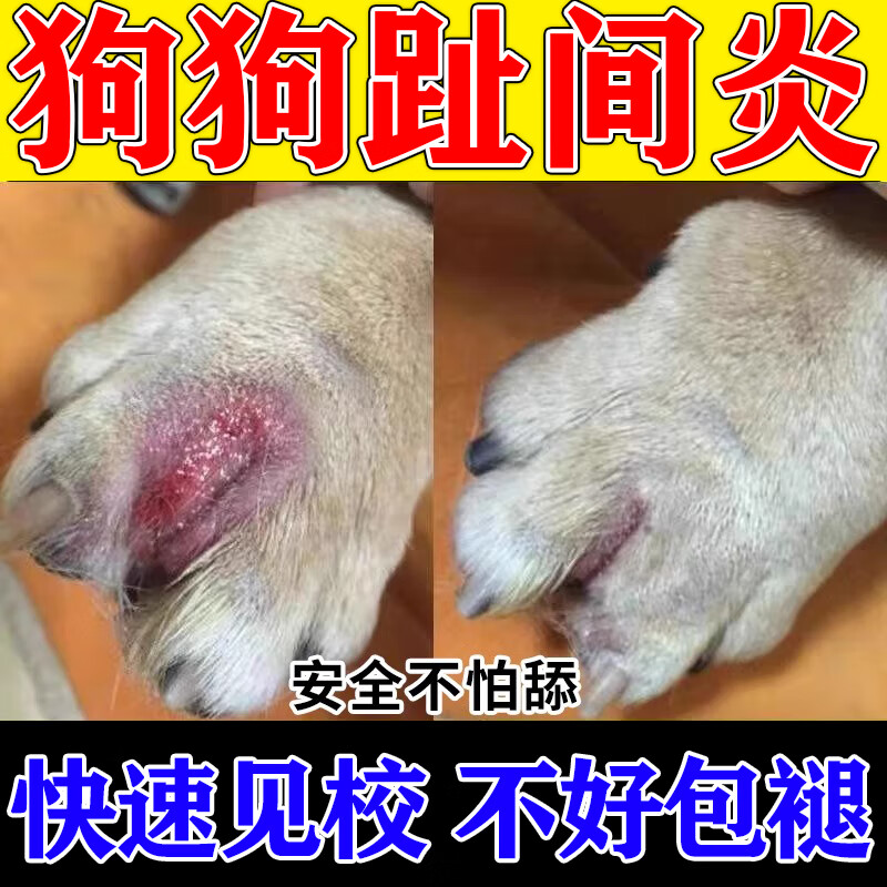 宠物指间趾间炎爪子红肿溃烂甲沟炎专用特效喷剂 狗狗趾间炎【1瓶装】