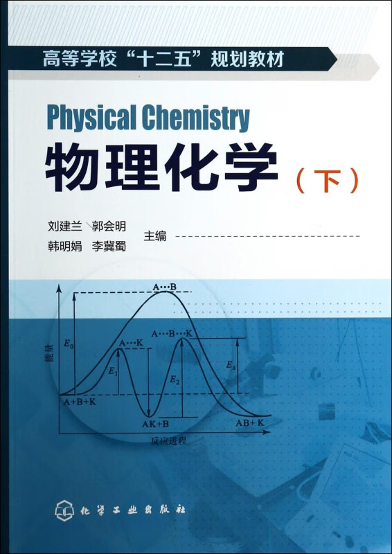 物理化学(下高等学校十二五规划教材)