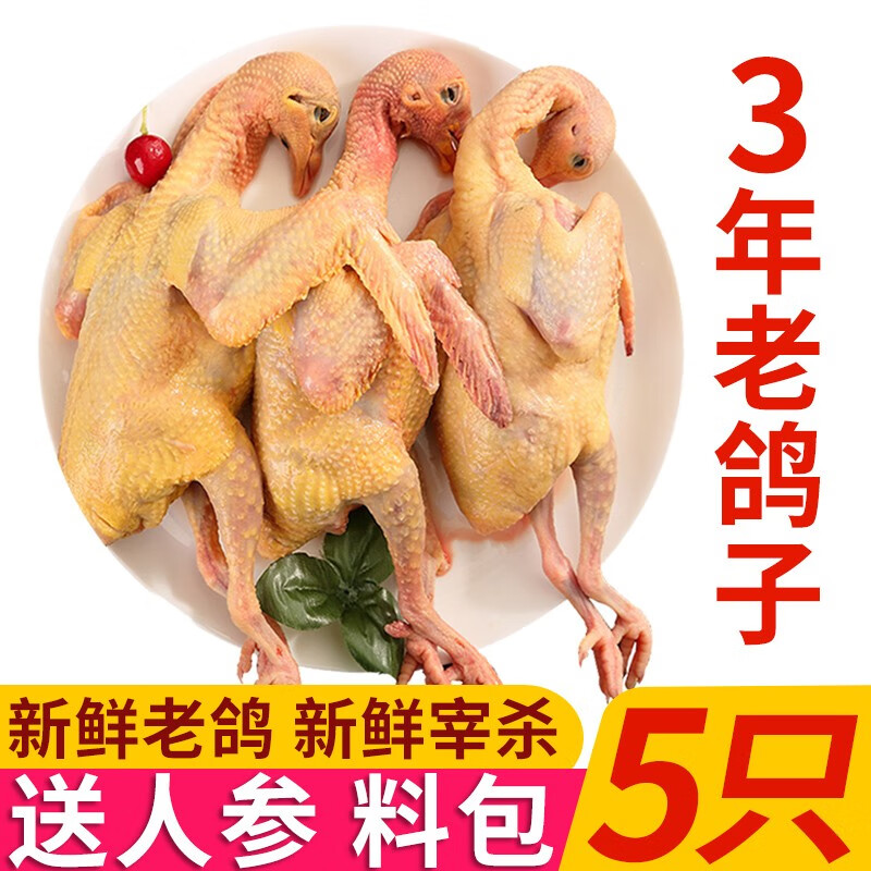 岽鲜 新鲜鸽子肉 新鲜冷冻农家老鸽子土鸽 煲汤烧烤食材 乳鸽生鲜 3年老鸽子400g*5只 带料包+鲜参