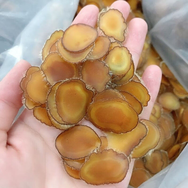 霁沁之东北梅花鹿茸全蜡片泡水泡酒煲汤炖菜鹿茸中药材鹿茸特级真品