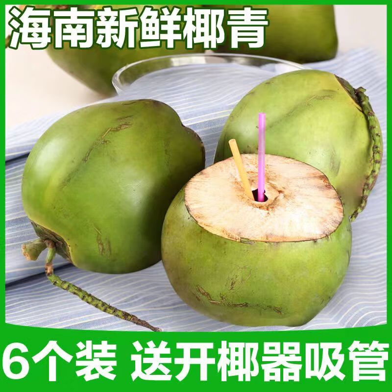 家庭农场海南青椰超大椰青现摘椰子孕妇新鲜水果 2枚 去皮青椰(900
