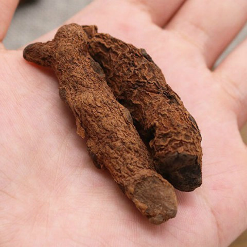 凯史甘斯云南血三七疼痛跌打损伤泡酒料药酒中药材可磨粉配血竭 血