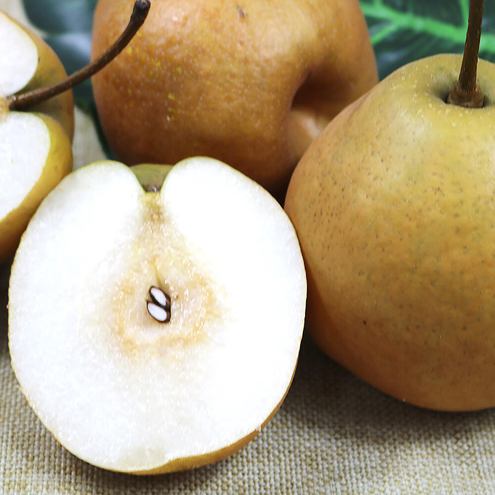 鲜姿 辽宁特产金翠香梨新鲜翠香梨水果当季新鲜水果生鲜 净重4.5斤 (单果75-80mm)