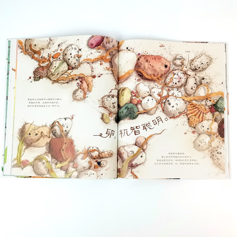 美丽成长科普绘本丛书（全5册）科技部全国优秀科普作品，给孩子的自然生态与生命教育绘本暑假阅读暑假课外书课外暑假自主阅读暑期假期读物详情图