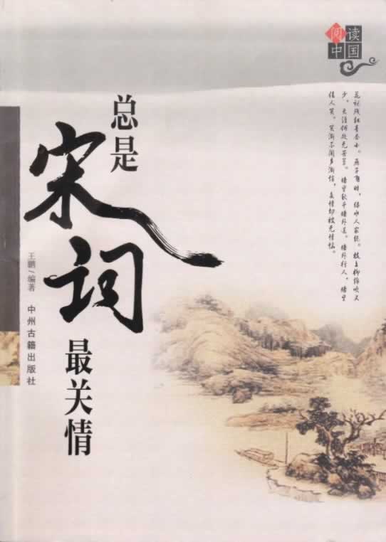 总是宋词关情 王鹏【正版】