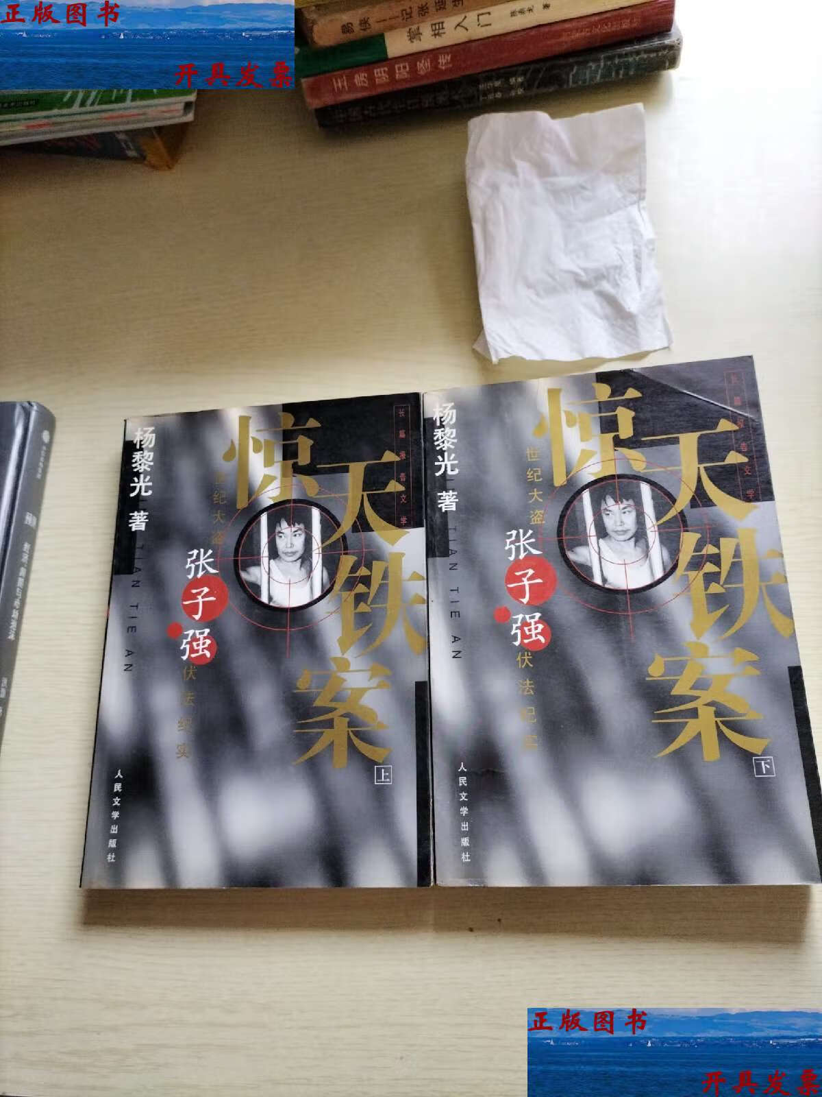 【二手9成新】惊天铁案(上下) /杨黎光 人民文学