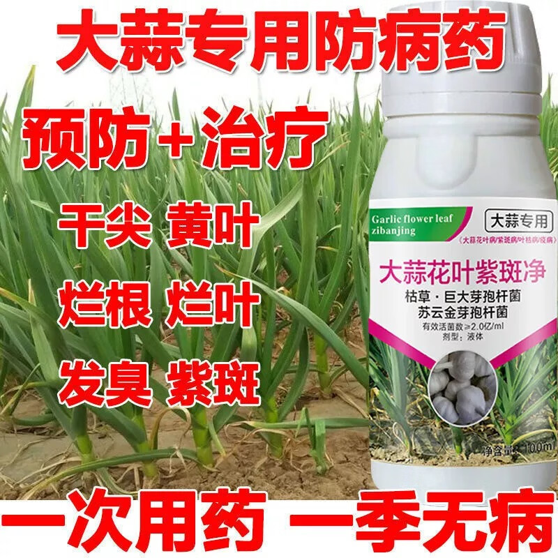 大蒜专用药  专治干尖病黄叶病烂叶病叶枯病腐烂病大蒜专用杀菌剂 100ml（100ml*1瓶）怎么看?