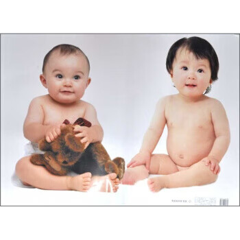 乖娃娃挂图宝宝4