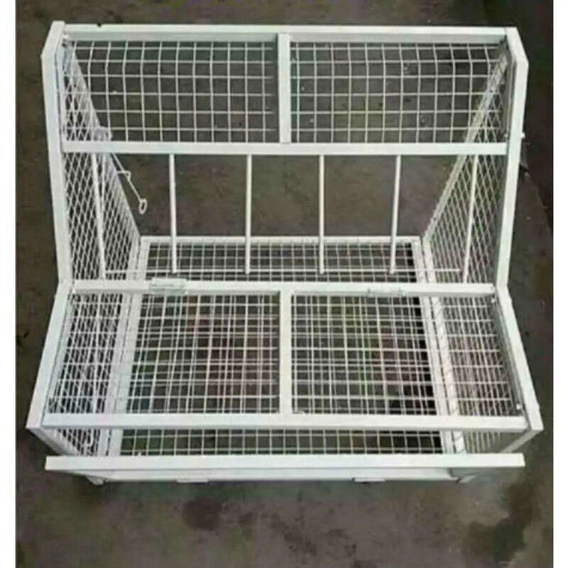 禧厢苑鸽子跳笼 信鸽赛鸽用品用具 鸽棚鸽舍进口 只进不出跳笼 放飞笼