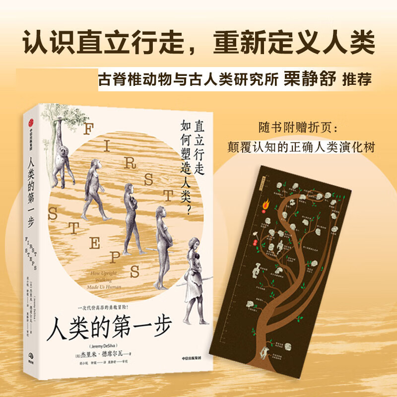 杰里米 你学到的人类进化示意图可能是错的 认识直立行走 重新定义