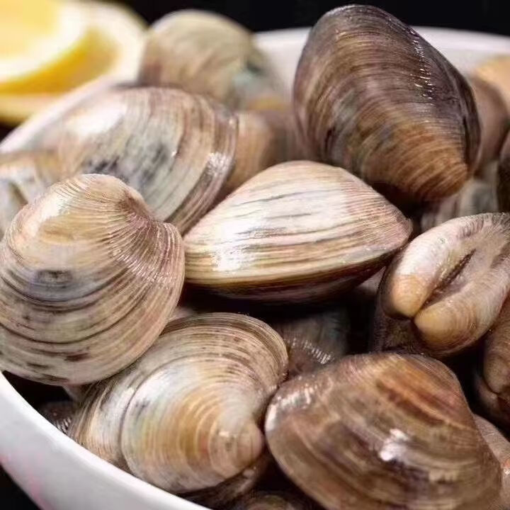 贝类海鲜批发：引领餐饮新风尚