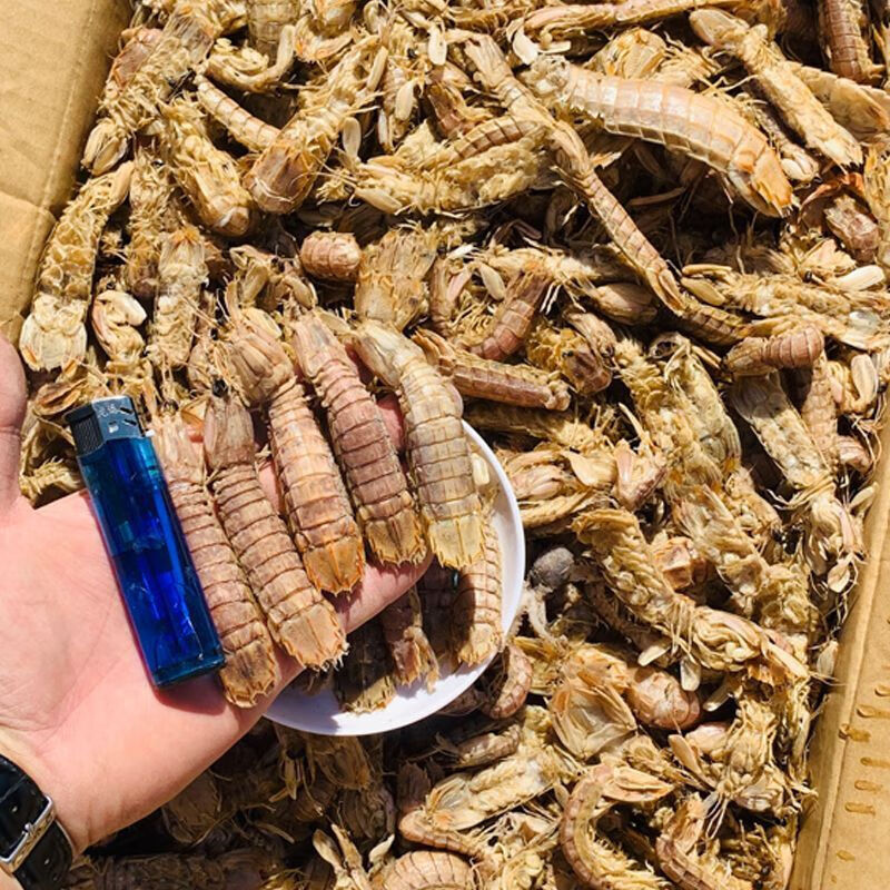 雷禾泽皮皮虾干濑尿虾干虾爬子干货海鲜水产渔民自晒火锅底煲汤炖菜食