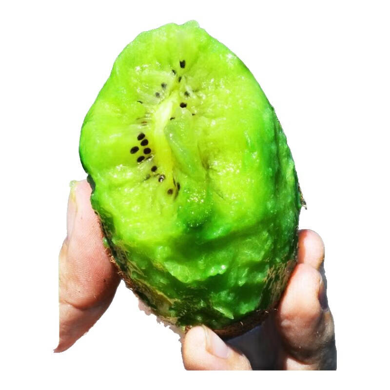 肴池晚采翠香猕猴桃特级奇异果弥猕桃水果礼盒新鲜绿心泥猴桃 24枚装|85-105克|大果推荐款