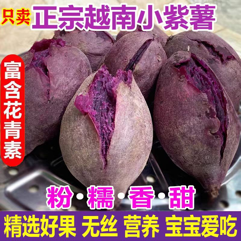 独爱（DUAR）越南品种小紫薯紫罗兰紫薯整箱新鲜珍珠自种粉糯红薯地瓜 大果 0kg 单果4两以上 5斤