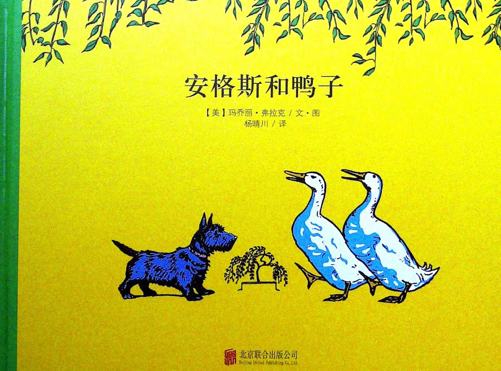 安格斯和鸭子