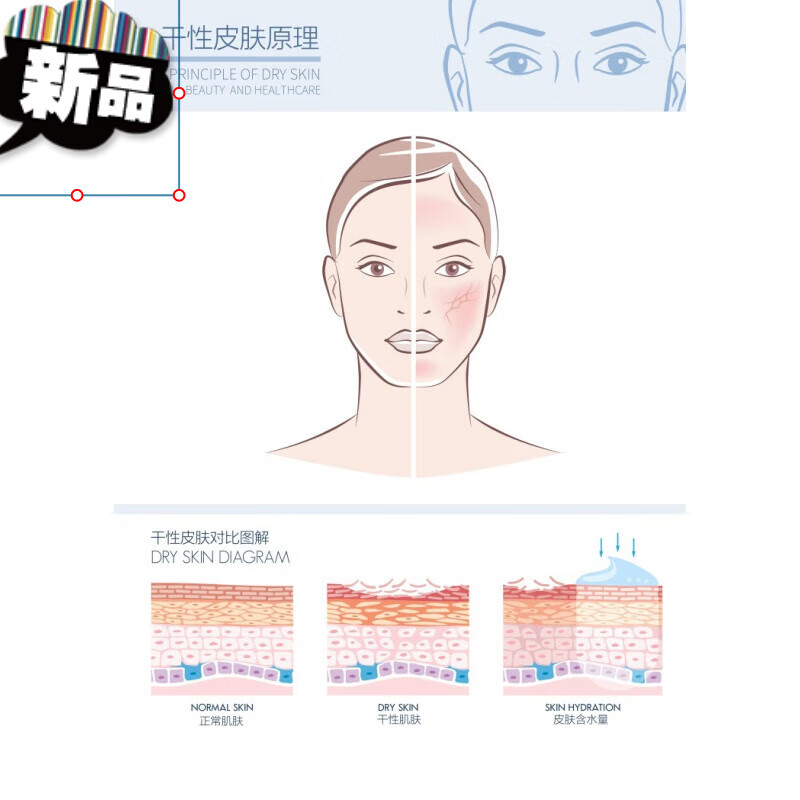 定制美容院装饰画皮肤管理高端挂画皮肤原理结构对比广告海报 乳白色