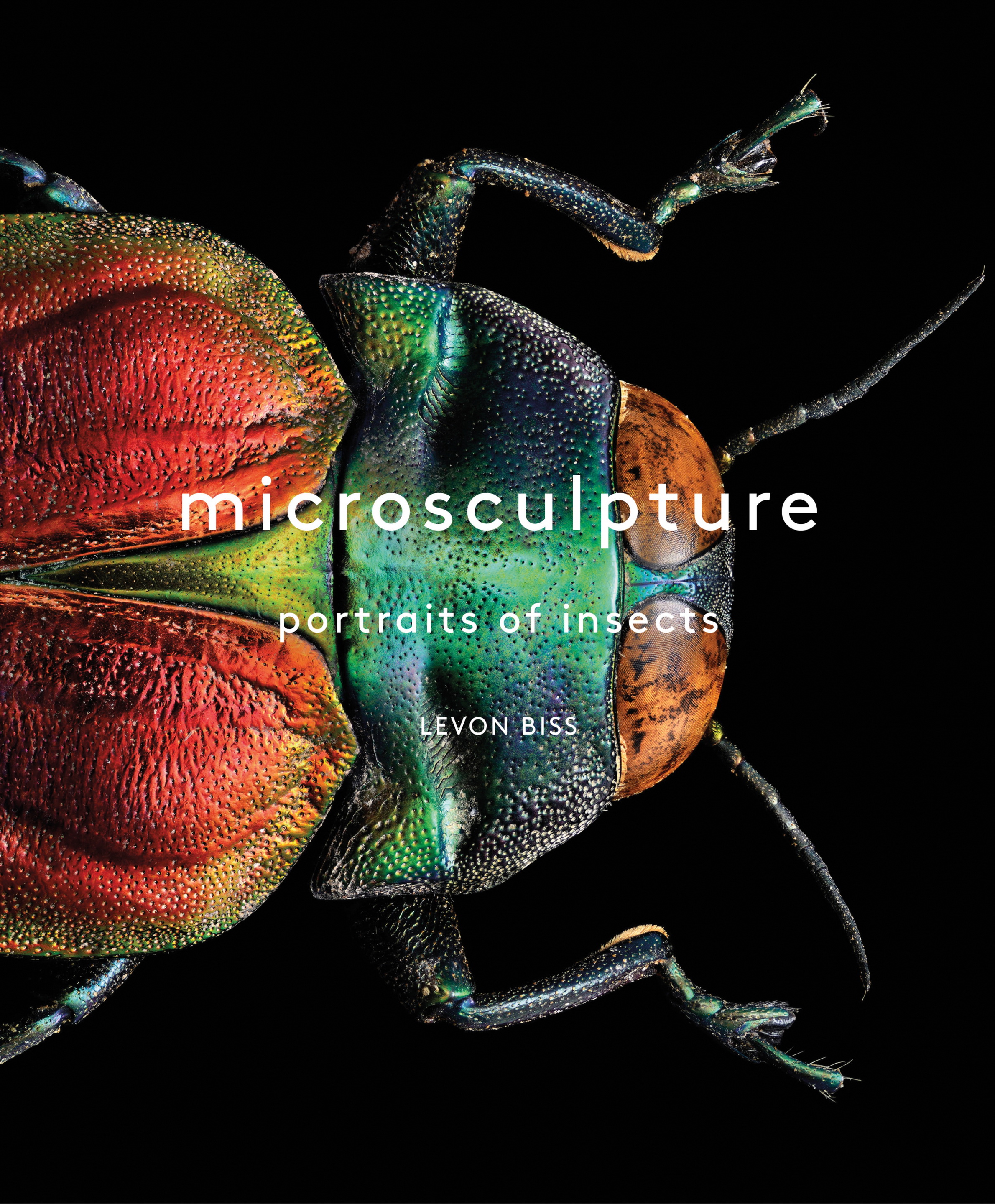 microsculpture