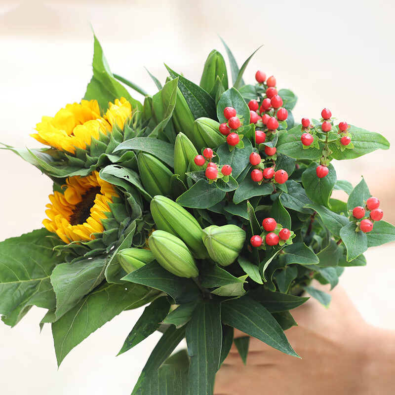 物鲜仙子向日葵花束鲜花瓶插花云南直批同城速递配送泰迪油画节日婚礼