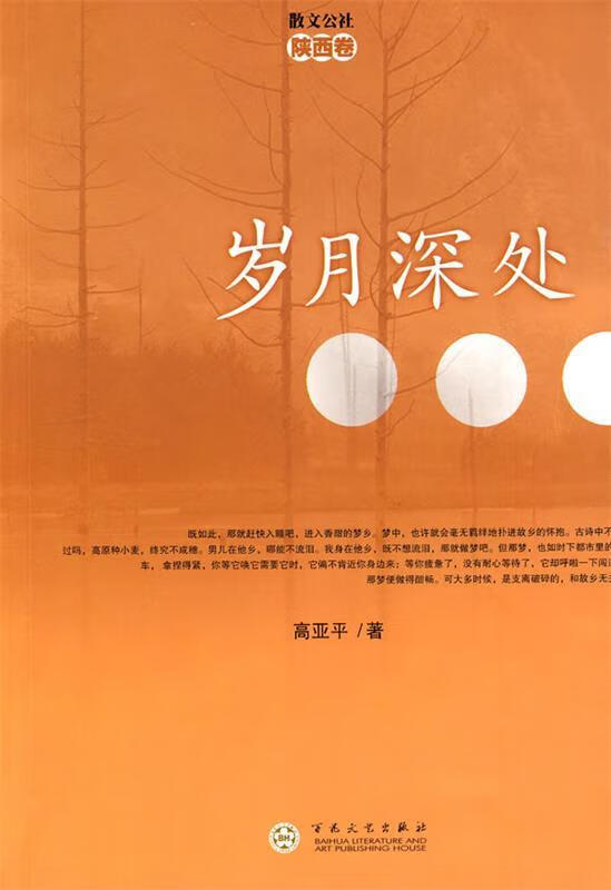 岁月深处 高亚平著【书】