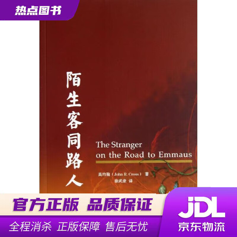 【 官方】陌生客同路人 (加)高约翰 著
