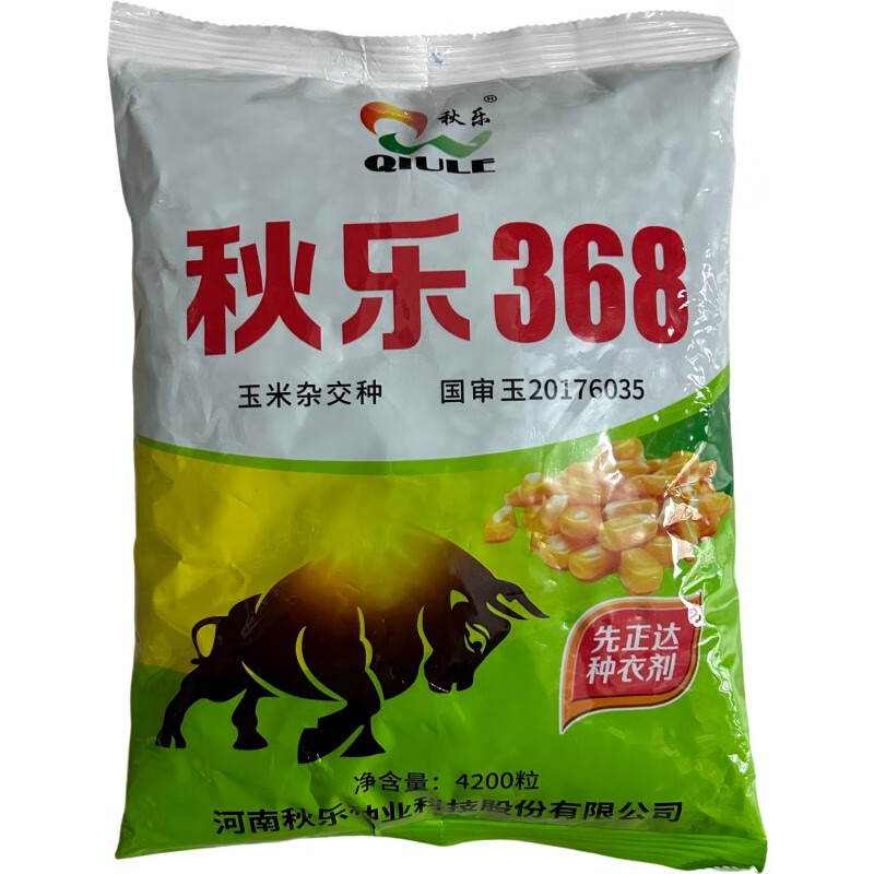 麦基乐国审秋乐368大田玉米种子矮秆丰产稳产抗病抗旱抗倒杂交种子