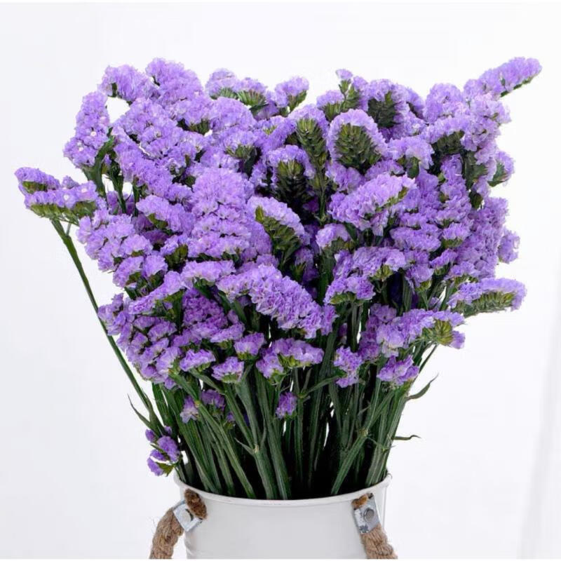 花鲜花花束客厅装饰摆设家居办公室装饰送朋友 浅紫色勿忘我1斤 送1斤