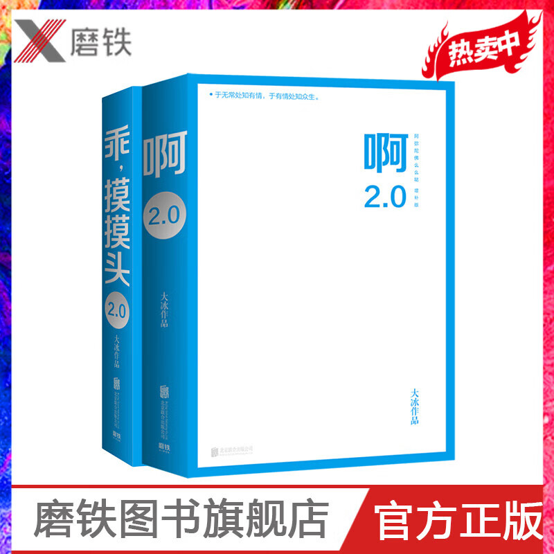 啊2.0 +乖摸摸头2.0书作者大冰450万册作品 啊2.0新增10万字包含旧版全文