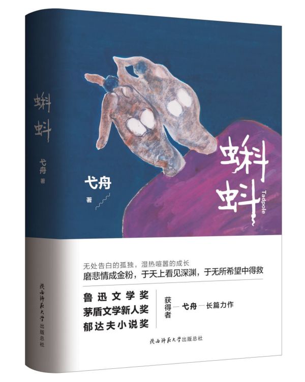蝌蚪(精)