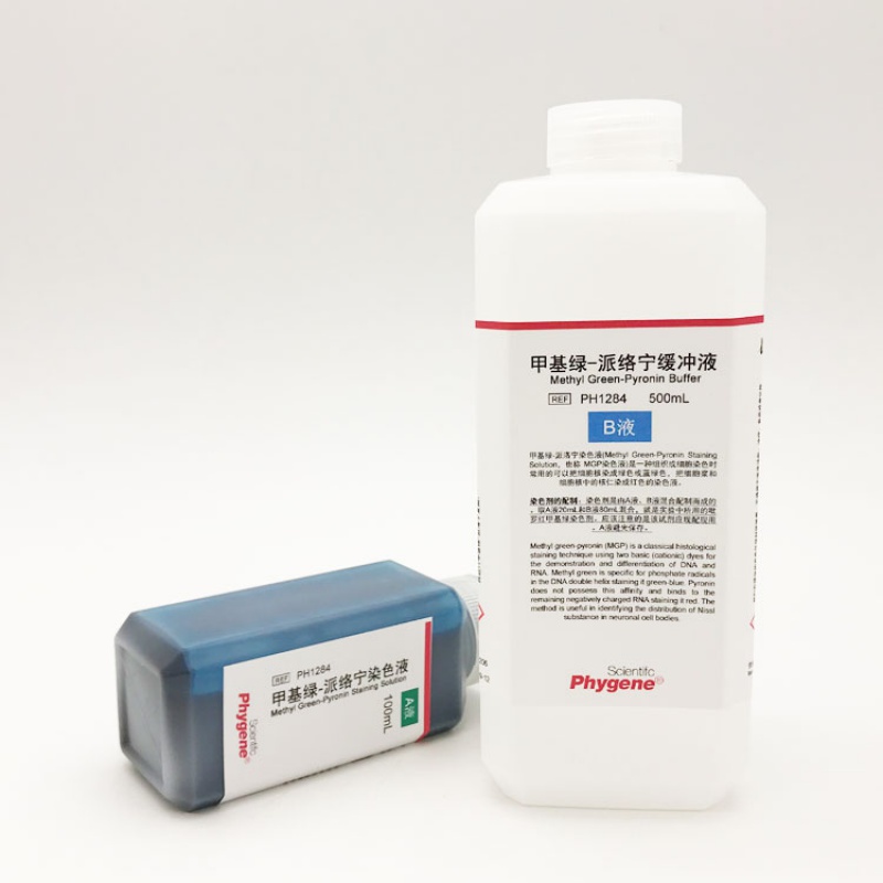 甲基绿吡罗红(派络宁)染色液 100ml 500ml [ph1284 ] 100ml 500ml