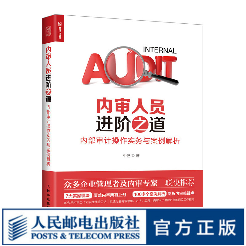 内审人员进阶之道 内部审计操作实务与案例解析 企业财务会计管理内控风控审计书籍 公司内审