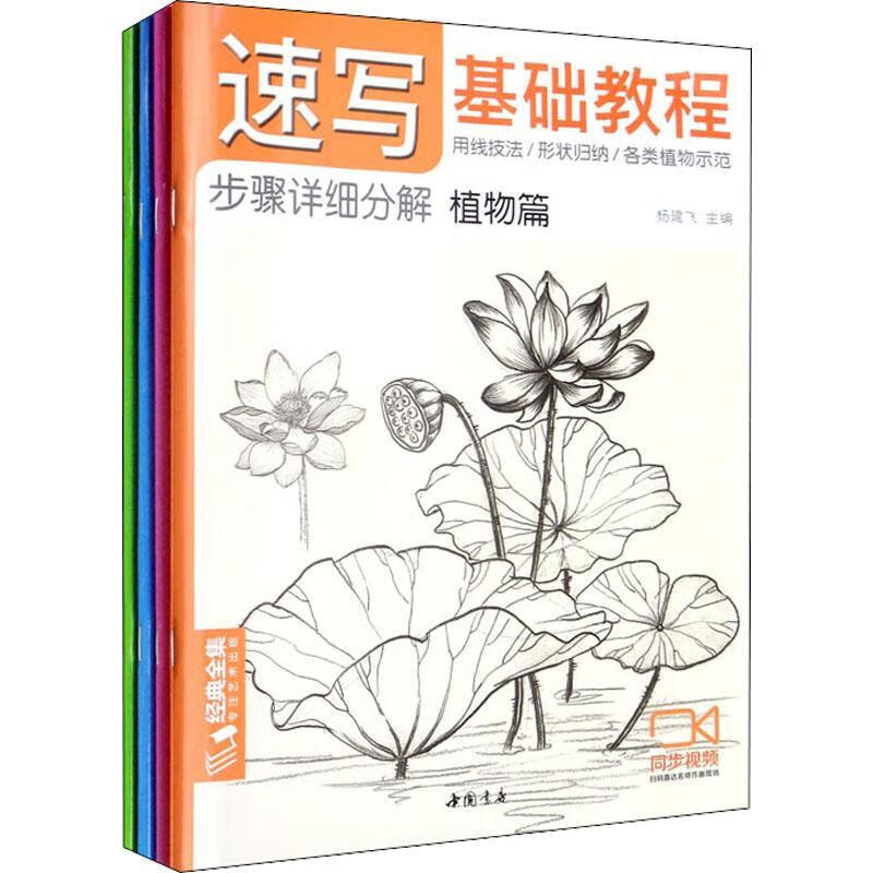 速写基础教程绘画  图书