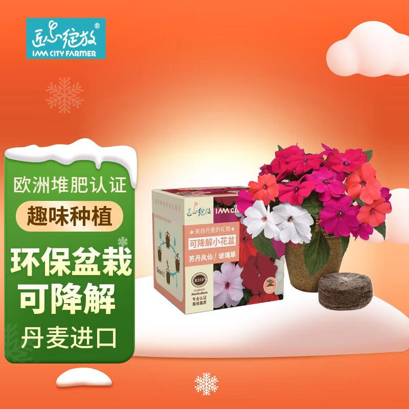 京东的绿植盆栽历史价格在哪看|绿植盆栽价格历史