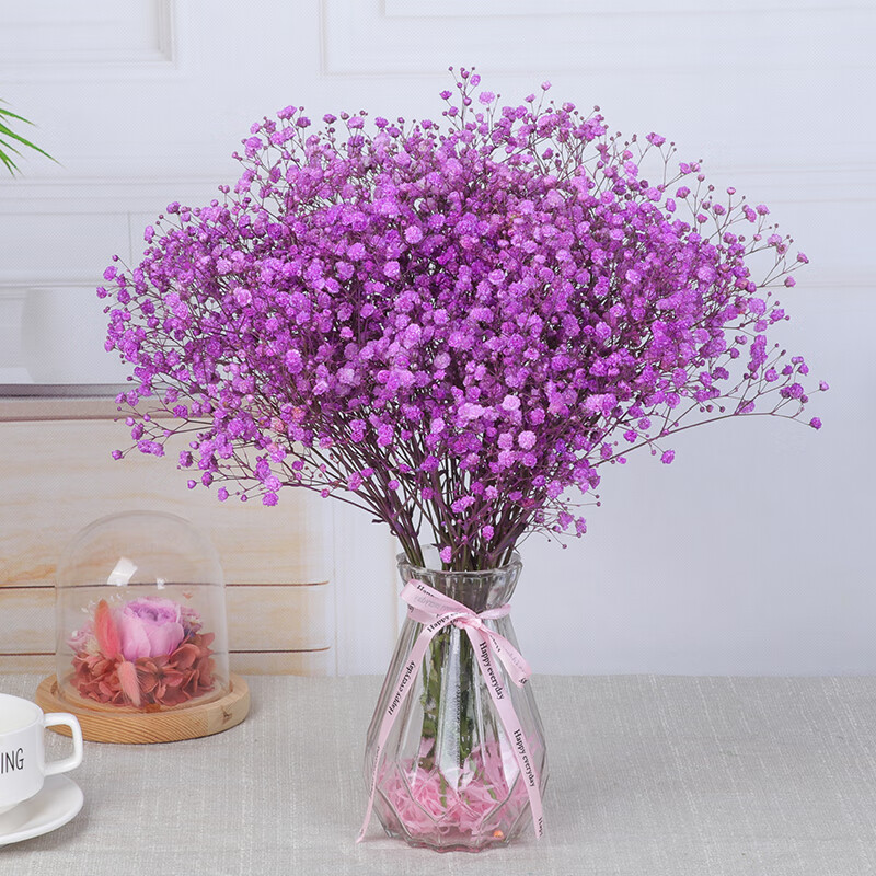 京东查询干花历史价格|干花价格比较