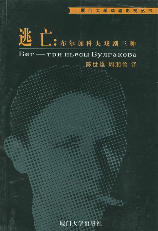 逃亡【正版图书,放心购买】